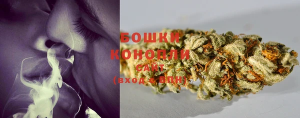 мяу мяу мука Инсар