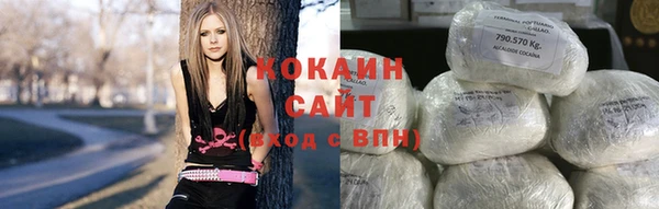 мяу мяу мука Инсар