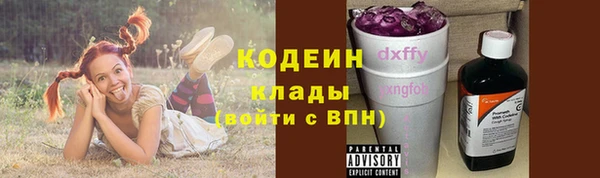 мяу мяу мука Инсар