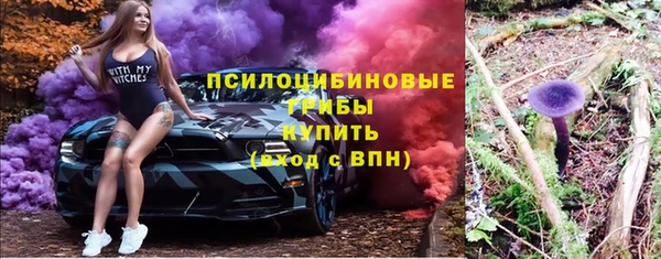 эйфоретик Инта