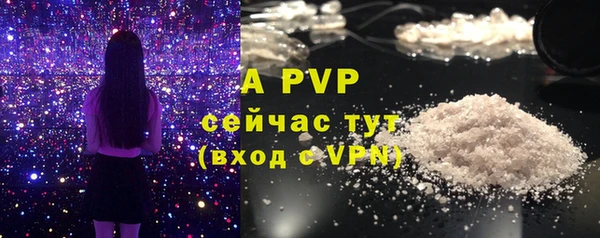 a pvp Каменногорск