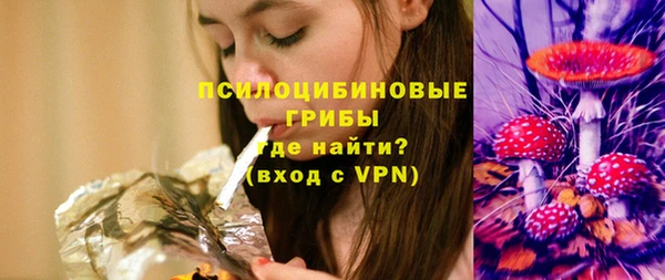 мяу мяу мука Инсар