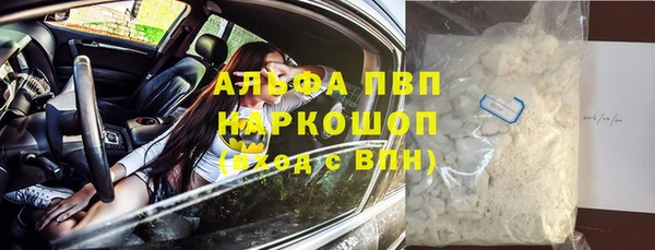 крисы Каменка