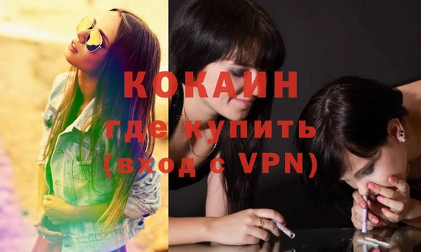 крисы Каменка