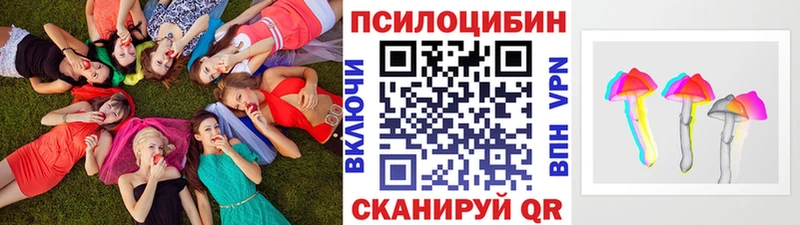 Купить где  Карасук  Псилоцибиновые грибы GOLDEN TEACHER 